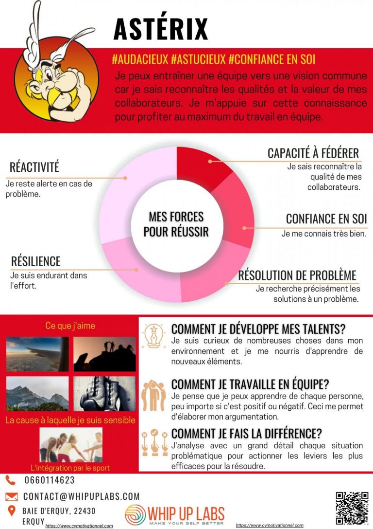 Le CV Motivationnel d'Astérix !