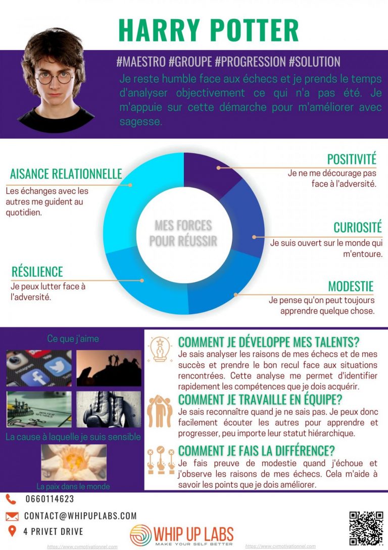 Le CV Motivationnel d'Harry Potter !