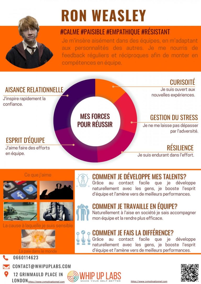 Le CV Motivationnel de Ron !