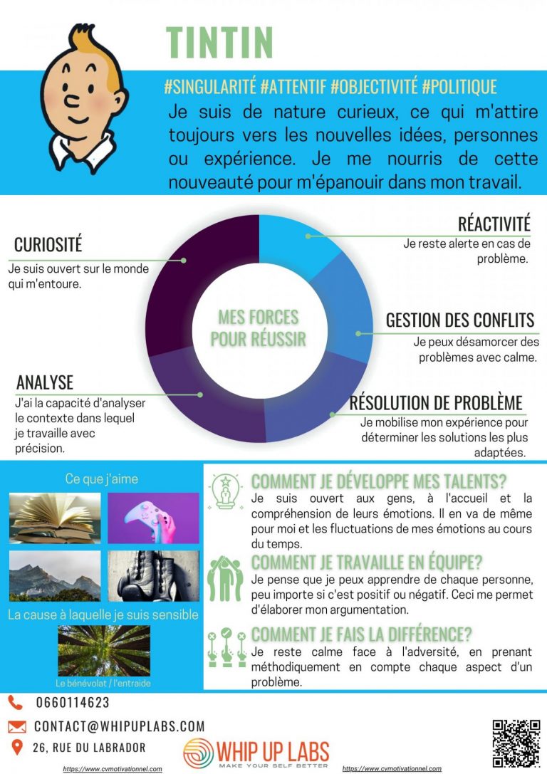 Le CV Motivationnel de Tintin !